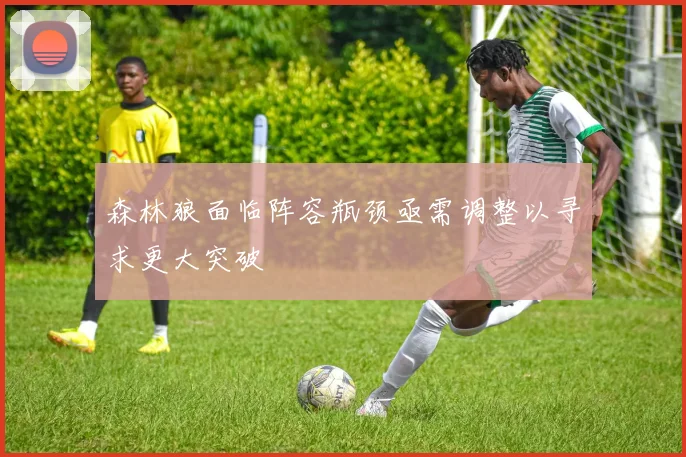 森林狼面临阵容瓶颈亟需调整以寻求更大突破