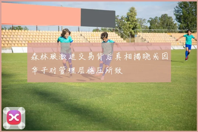 森林狼激进交易背后真相揭晓或因华子对管理层施压所致